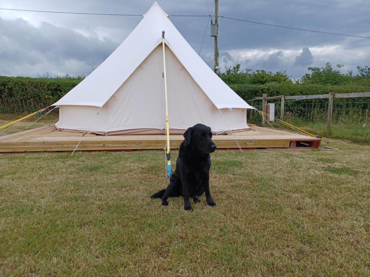 Tryfan Pen Cefn Farm Bell Tent Luxury tent Abergele